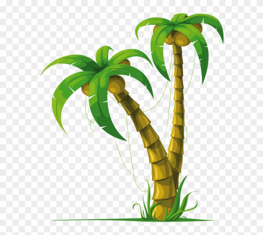 Arbre,png - Coconut Tree Vector #1000438