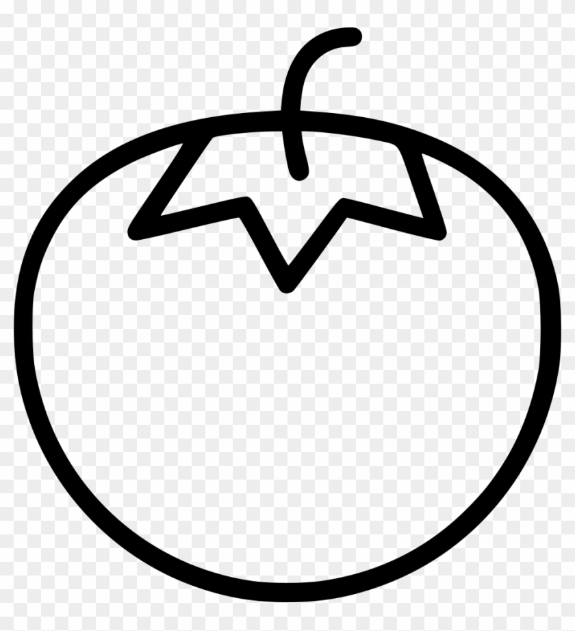 Tomato Comments - Yacht #1000477