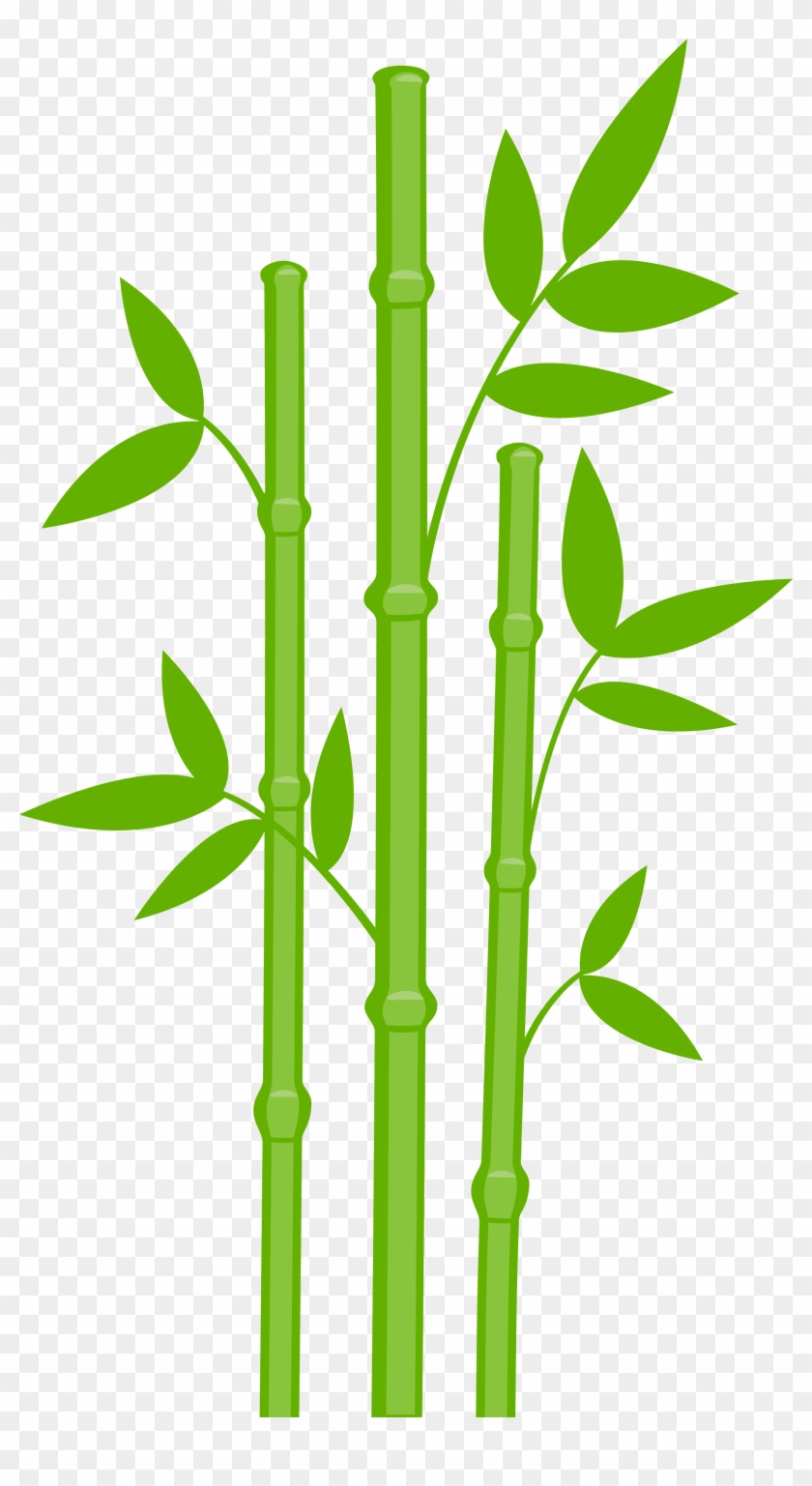 Bamboo Clipart Bamboo Leaves - Bamboo Transparent #1000492