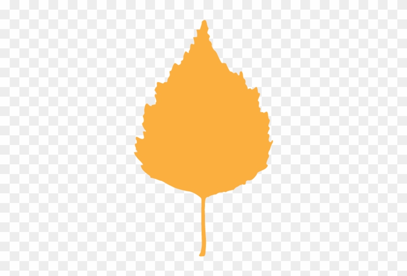 Birch Syrups - Birch Syrups #1000581