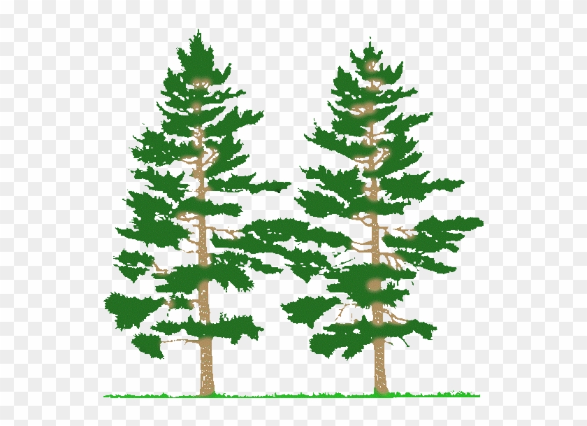 Pine Tree Forest Clip Art - Farming Simulator 2017 Mods Tree 2017 #1000590