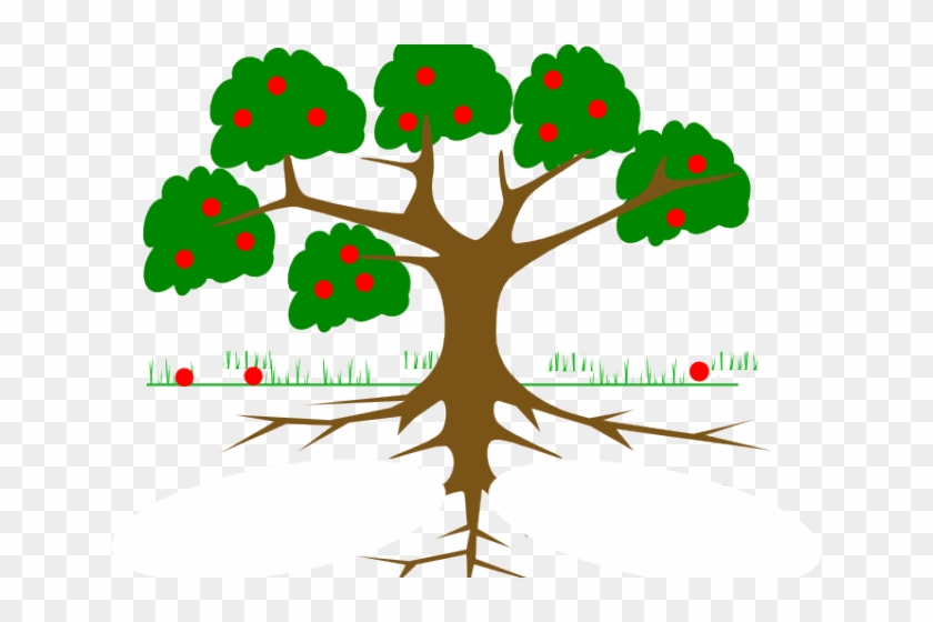 Roots Clipart Rooted Tree - Root Of A Tree Cartoon #1000624
