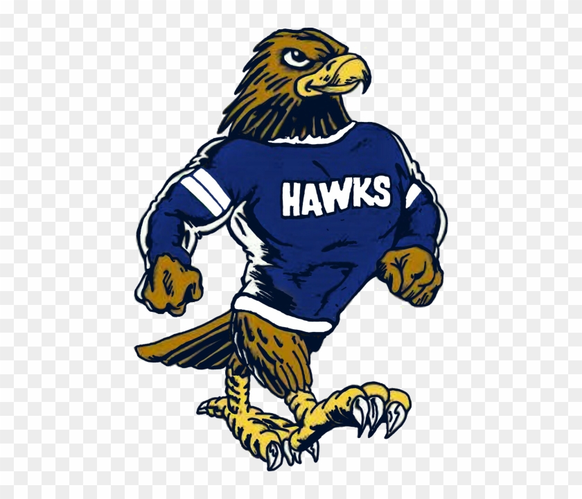 Duarte Hawks Football & Cheer Organization - Duarte Hawks #1000635