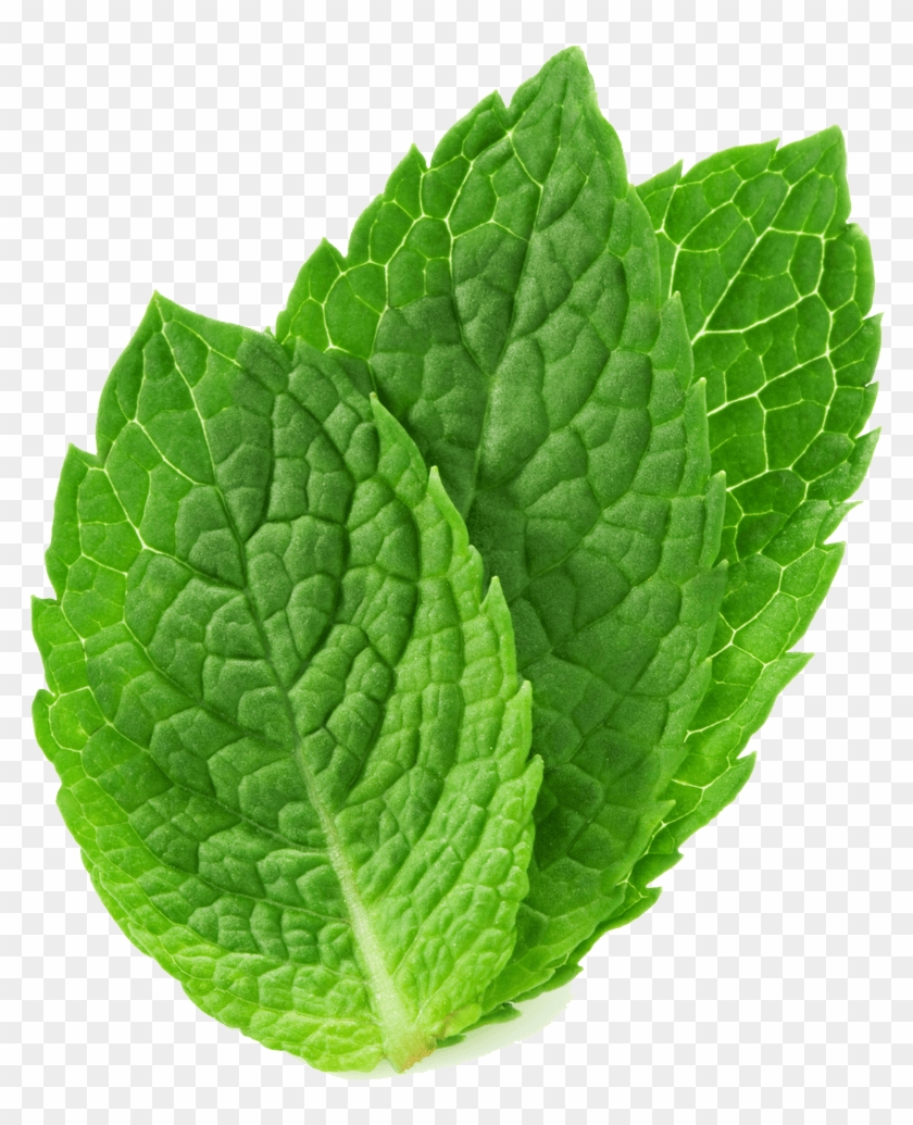 Mint Leaves #1000747