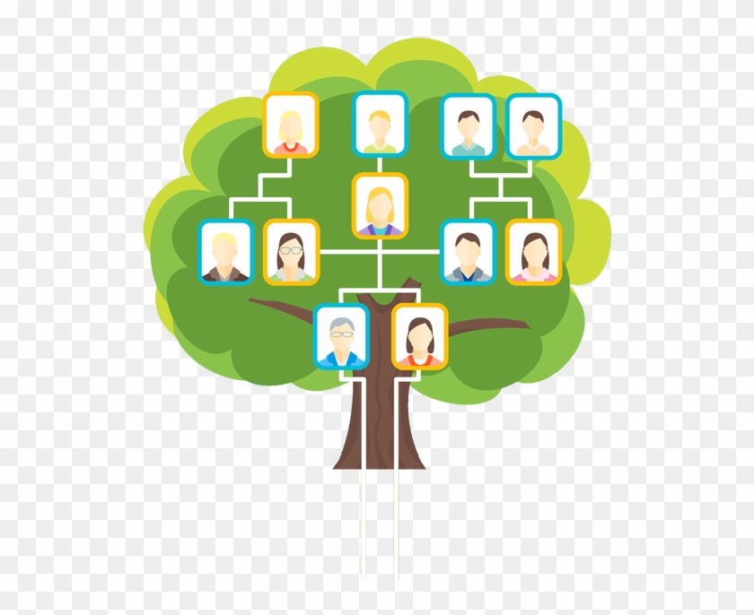 Start Your Journeydiscover Your Roots - Arbol Famailiar #1000754