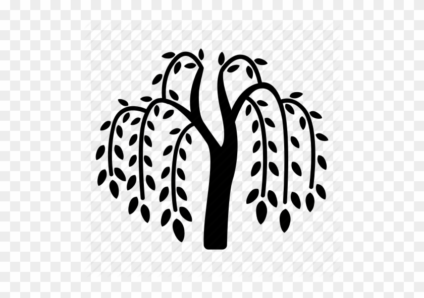 Branches, Fronds, River, Tree, Vegetation, Weeping, - Willow Tree Icon #1000808