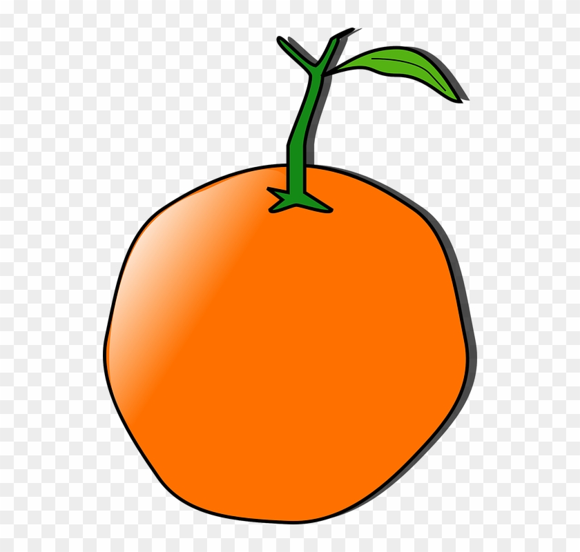 Orange Clipart Healthy Fruit - Custom Orange Shower Curtain #1001010