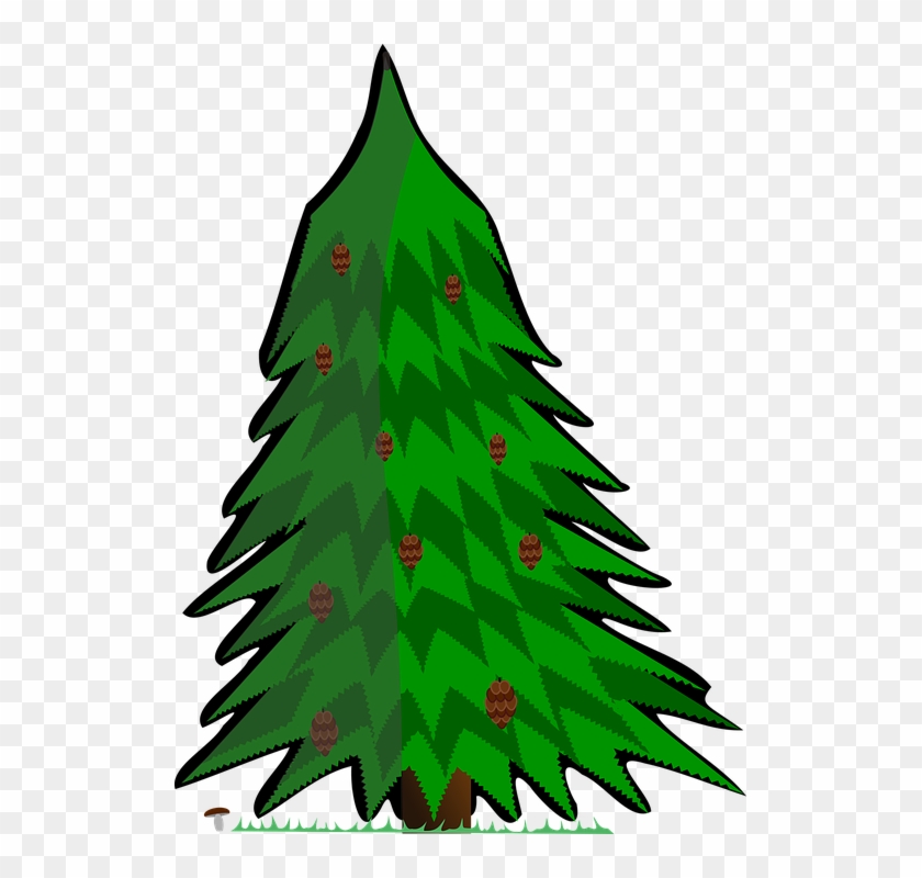 Vector Pine Trees 8, Buy Clip Art - Kreslený Jehličnatý Strom #1001020