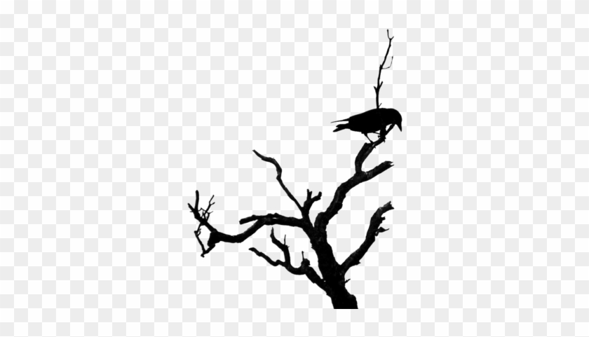 Deluxe Dead Tree Clipart Dead Tree Silhouette Clipart - Bird On Dead Tree #1001048