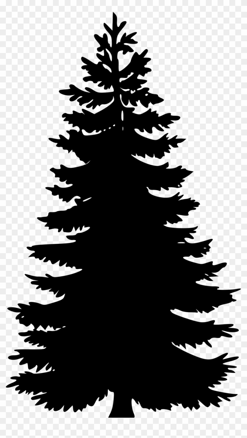 Clip Art Charlie Brown Christmas Tree - Pine Tree Vector Png #1001079