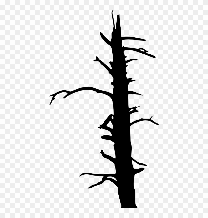 Pin Dead Trees Clipart - Portable Network Graphics #1001085