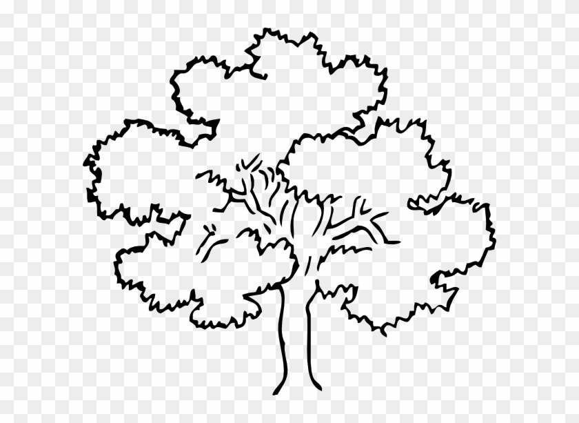 Oak Tree Clip Art - Tree Drawing Black And White #1001091