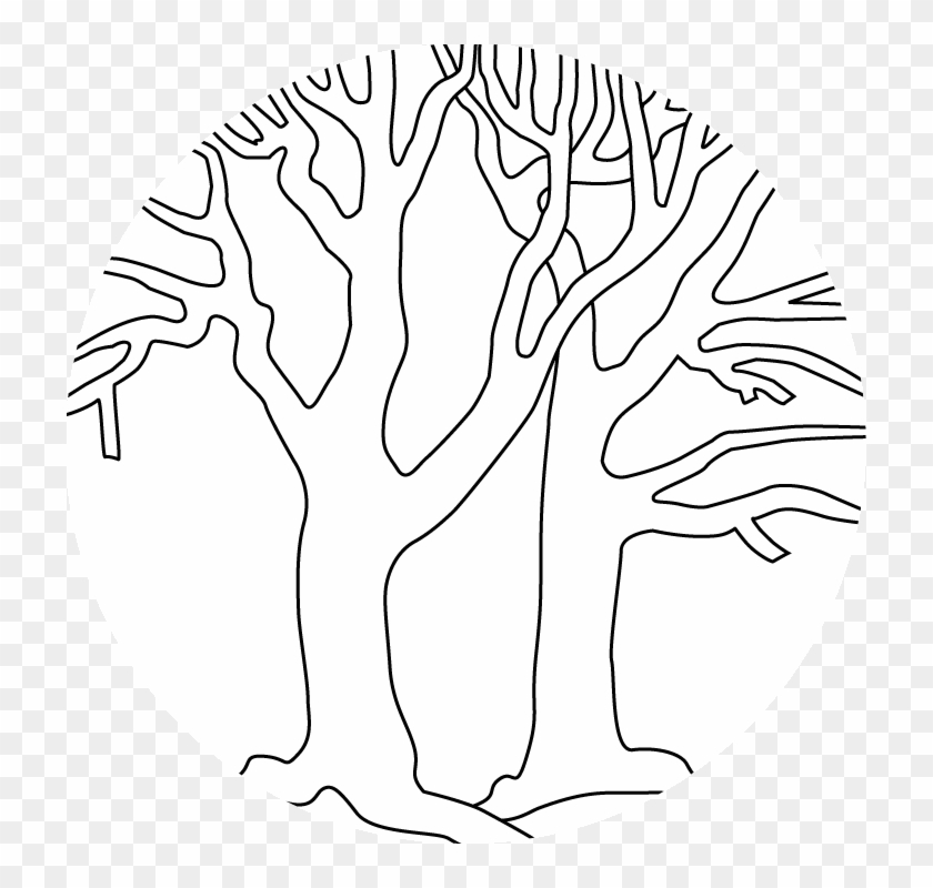 Bare Trees Outline - Coloring Book #1001094