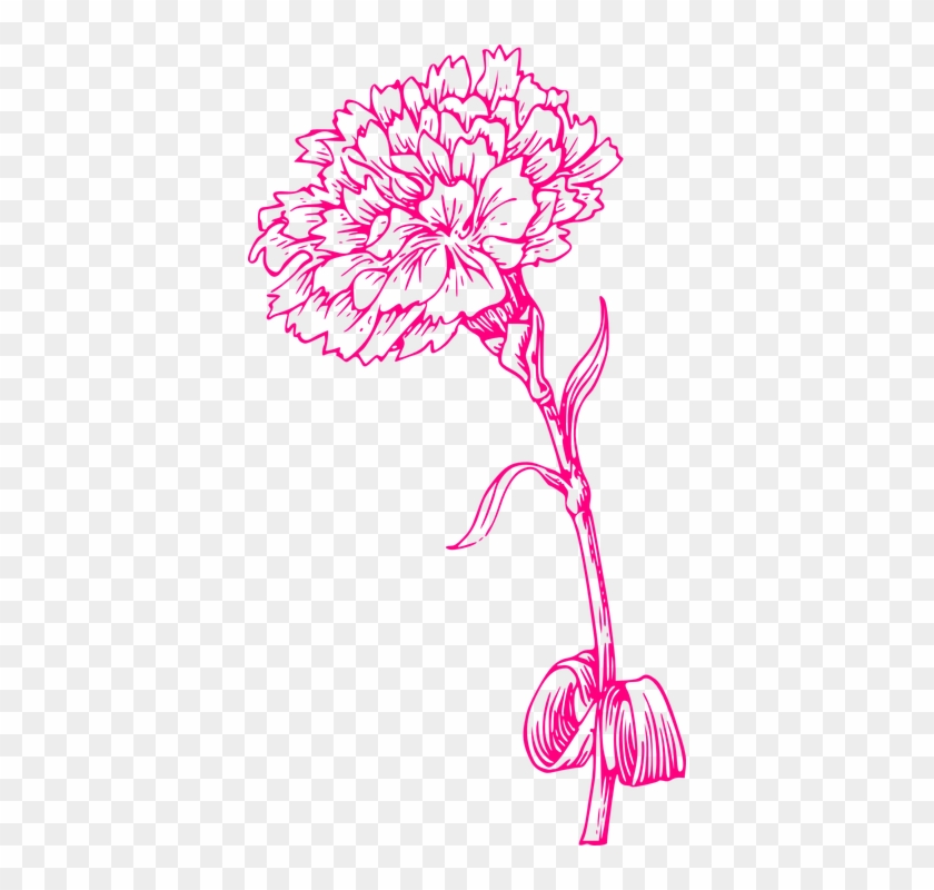 Carnation Clipart Spanish Rose - Marigold Line Drawing #1001132