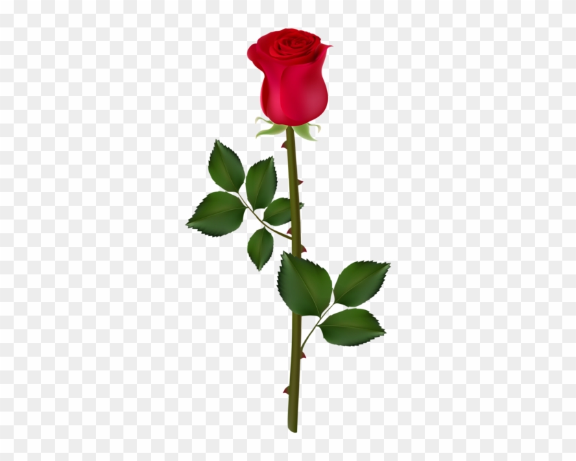 Rose Bush Clipart Rose Vines - Rose Png For Picsart #1001170