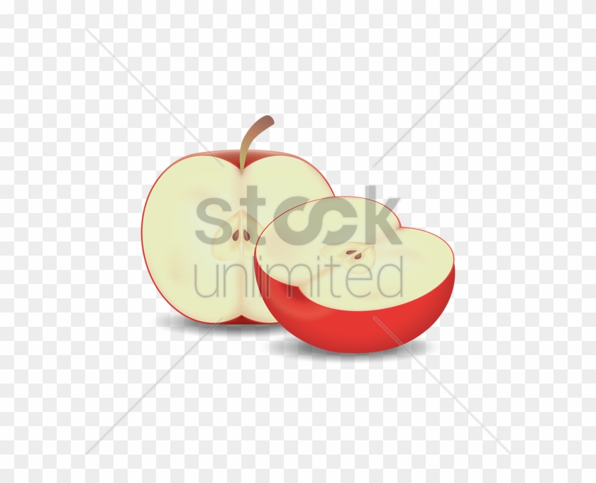 Apple Cut Into Half Vector Image - Applei Cut In Half Clipart #1001186