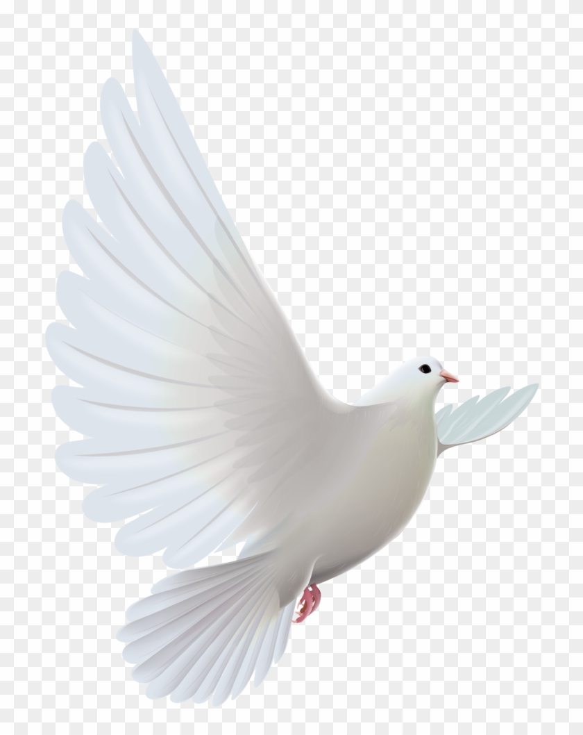 Clipart Bird Descending - White Dove #1001338