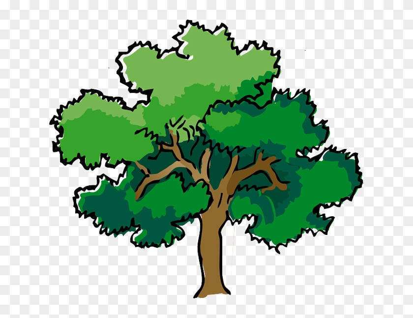 Oak, Tree, Summer, Branches, Leaves, Trunk, Mature - Oak Tree Clipart #1001404