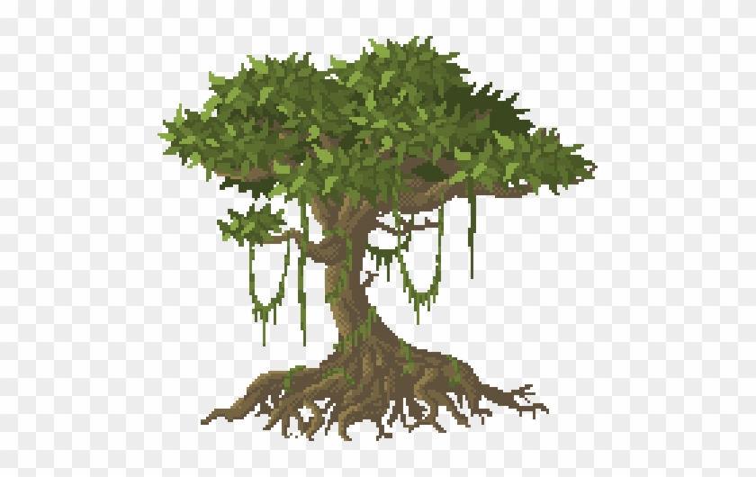 Drawn Plant Jungle Tree - Clipart Jungle Trees #1001496