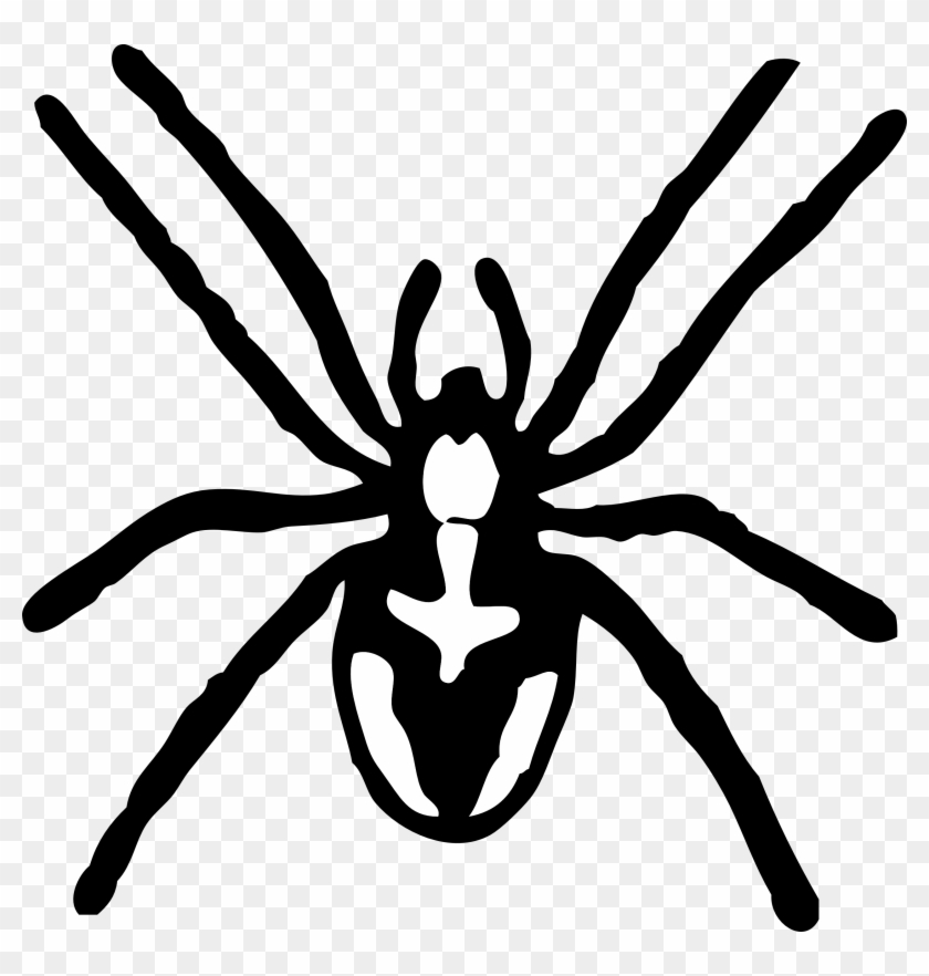 Spider Clipart Black And White - Black And White Picture Of A Spider #1001516