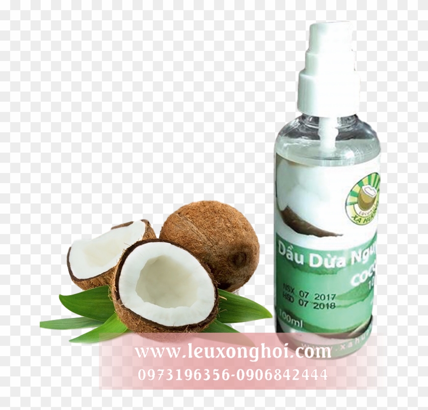 Tinh Dầu Dừa Nguyên Chất Ép Lạnh - Lorann Coconut Flavoring 1 Dram #1001515