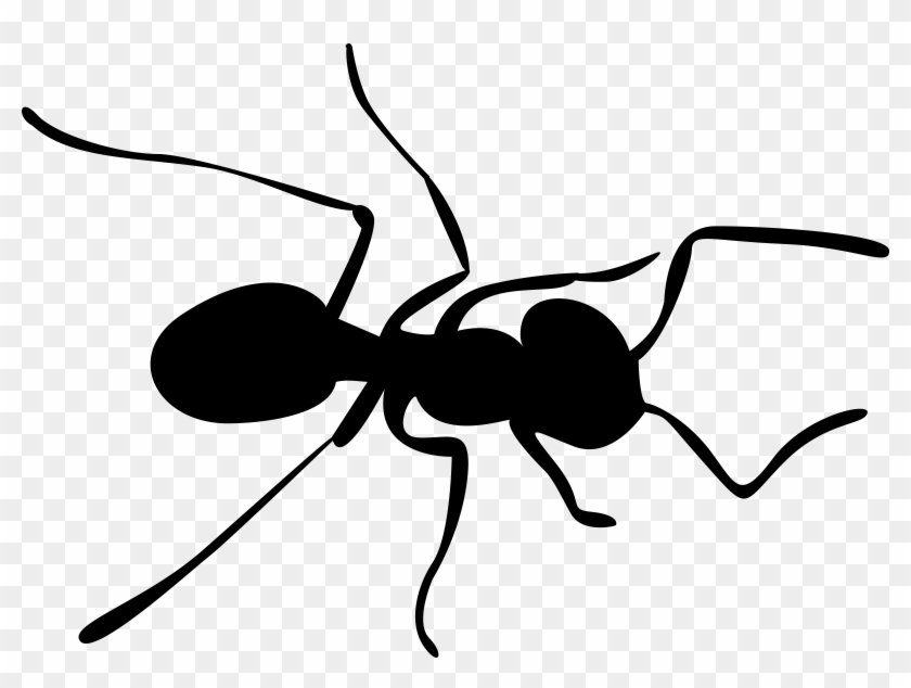 Related Clip Arts - Ant Silhouette Vector #1001534