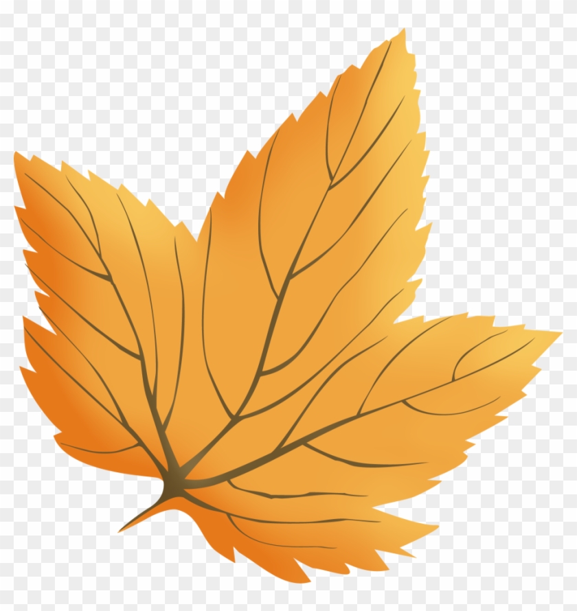 Clipart Feuille D'automne - Clipart Feuille #1001733