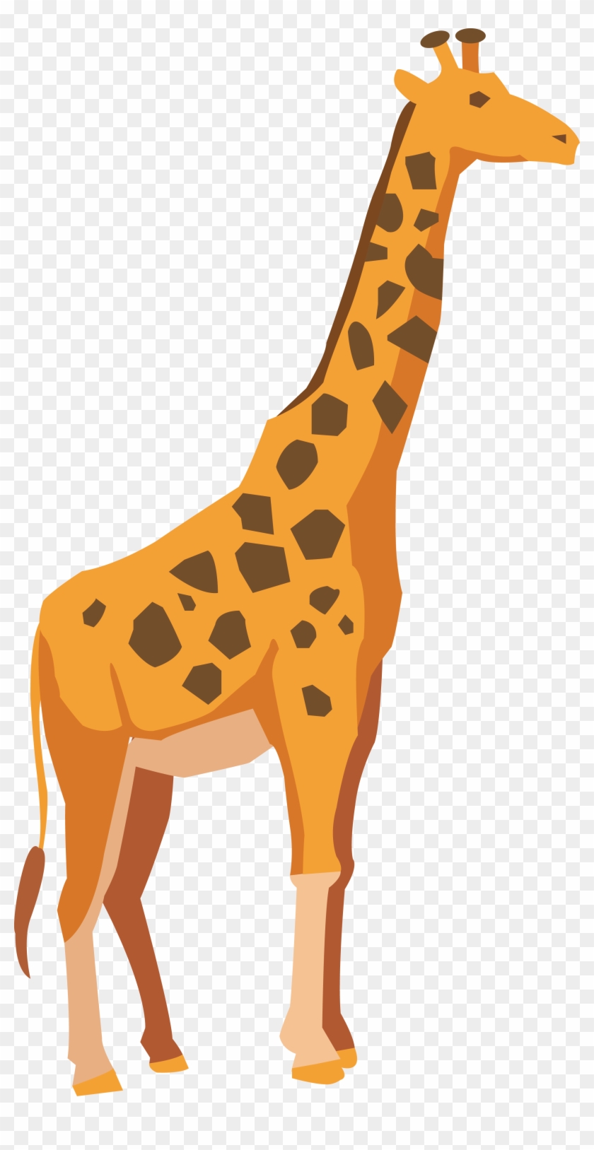 Giraffe Adobe Illustrator Drawing - Giraffe #1001755