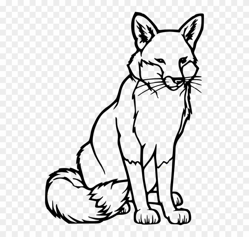 Drawn Fox Carnivore - Coloring Picture Of Fox #1001780