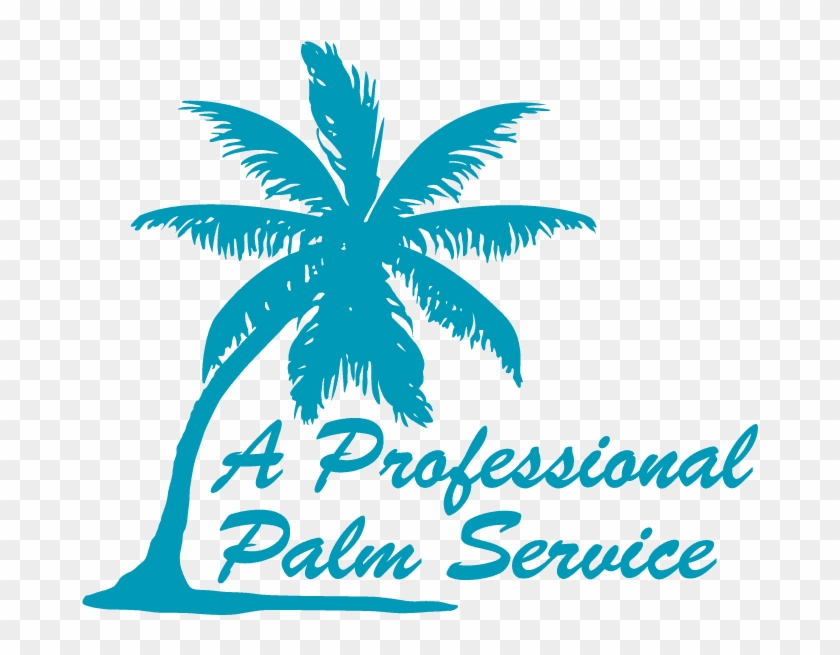 A Professional Palm Service Strathpine - A Professional Palm Service #1001869