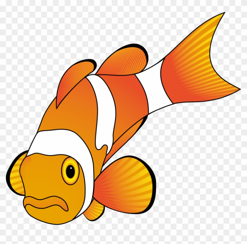Fish Cartoon Animation Clip Art - Orange Fish Vector #1001924