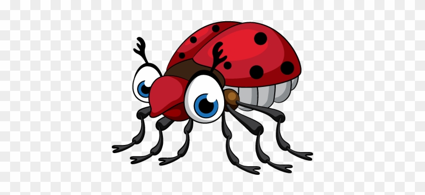 Beetle - Beetle #1002102