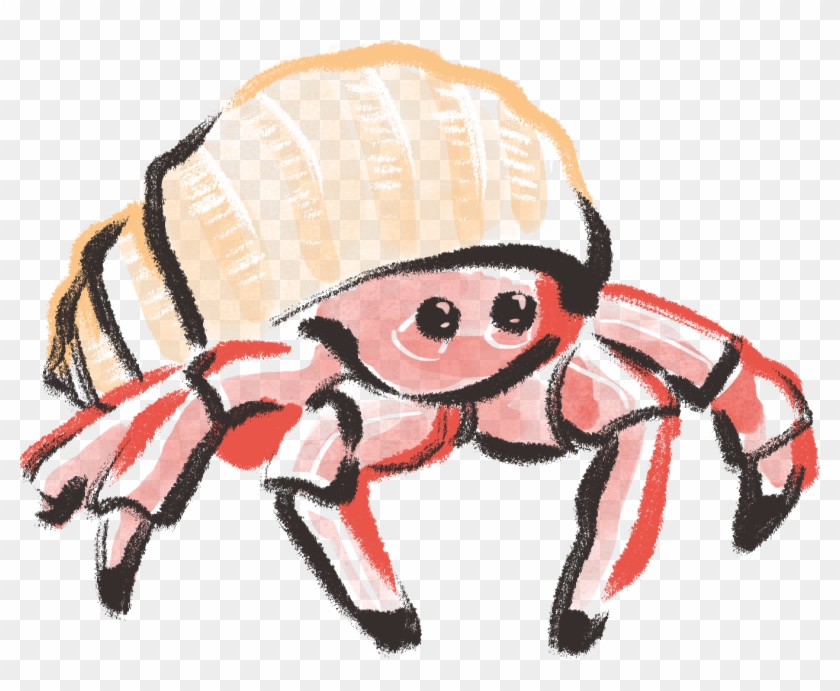Hermit Crab - Cancer #1002122