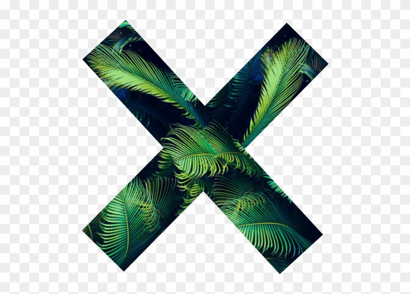 The Xx Tumblr Palm Tree - X Tumblr Png #1002435