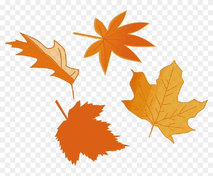 Foliage, Autumn, Fall, Leaf, Tree, Yellow, Greenery - Herbst-blätter U. Kürbis-kissen Kissen #1002451