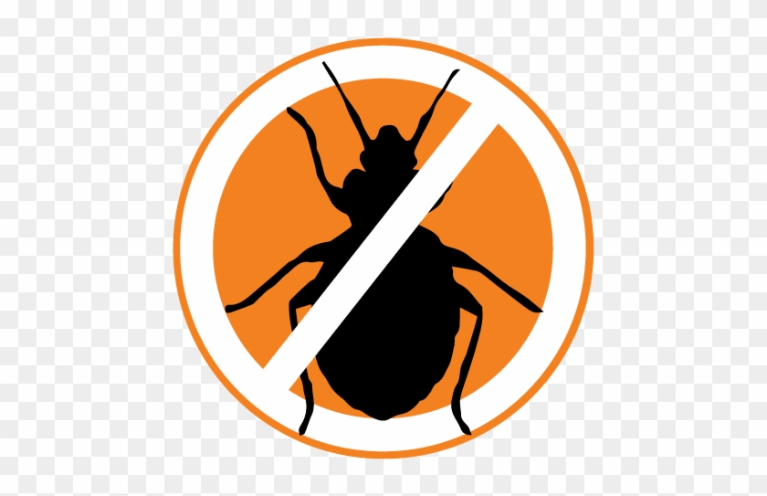 Select Services Offer Conventional Bed Bug Treatment - Select Services Offer Conventional Bed Bug Treatment #1002520