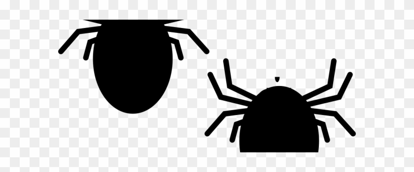 Get Rid Of Bed Bugs - Lyme Disease #1002528