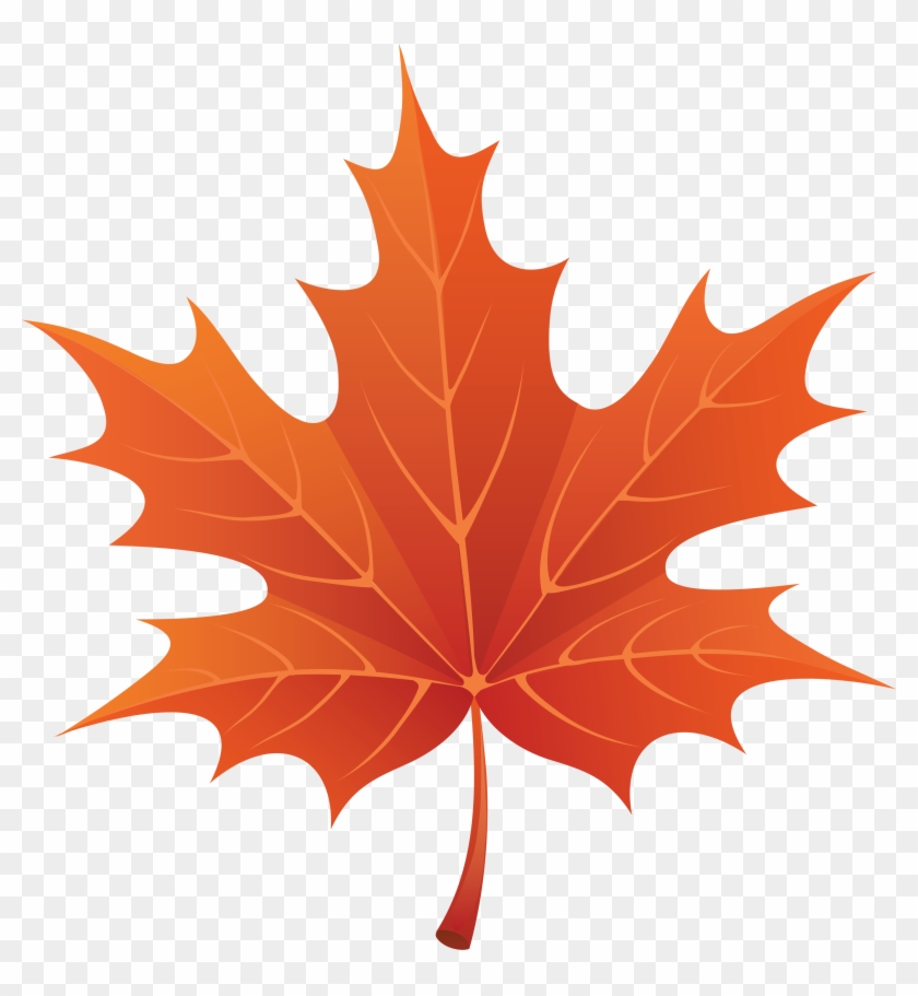 Drawn Maple Leaf Transparent - Autumn Leaf Clipart #1002588