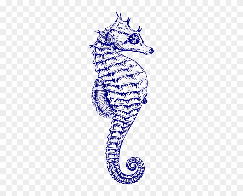Seahorse Png #1002941