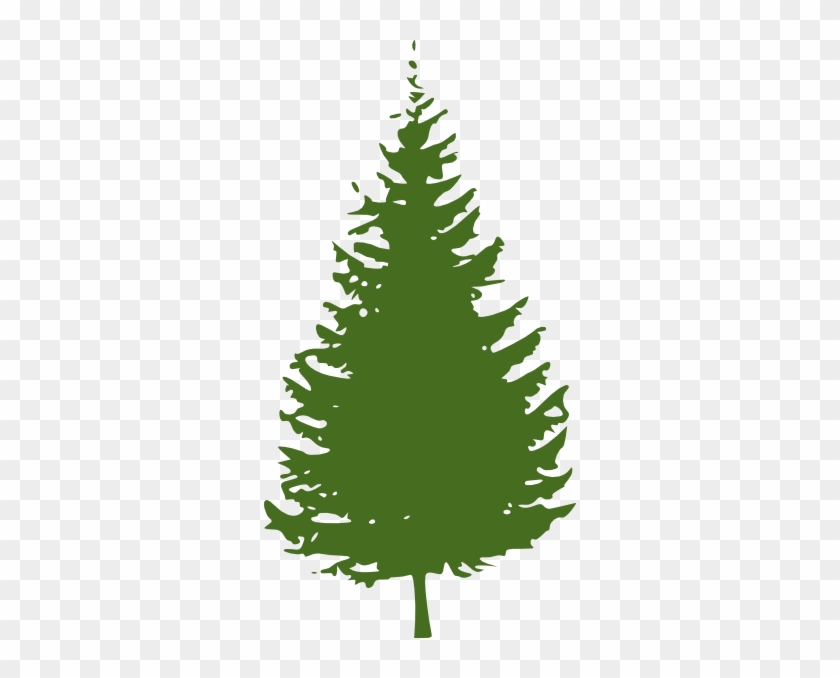 Redwood Tree Clip Art #1003009