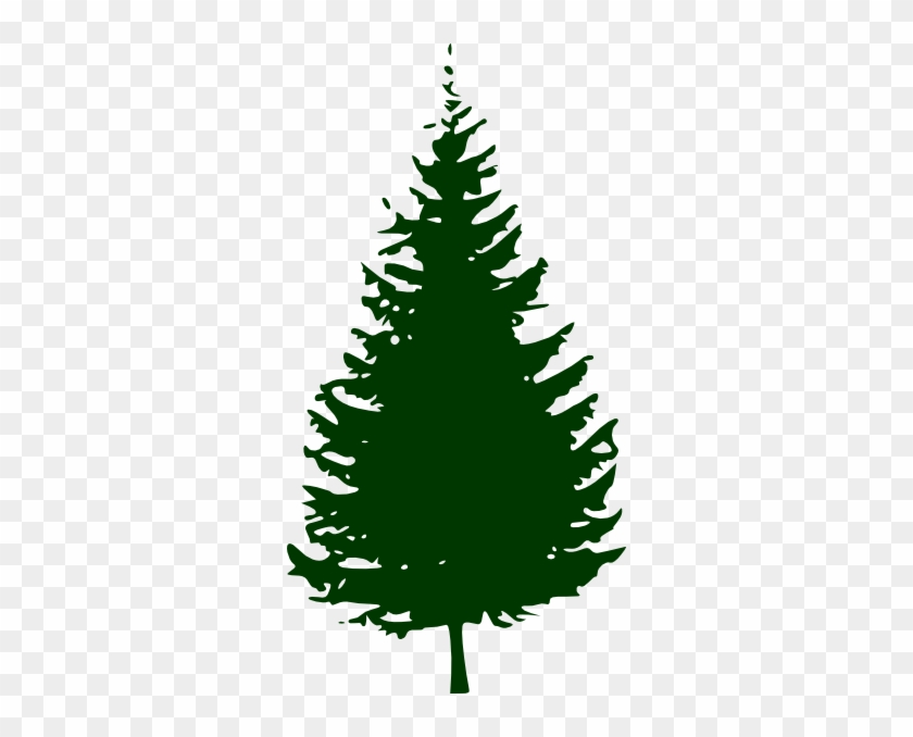 Fir Clipart Ashoka Tree - Pine Tree Silhouette Vector #1003010