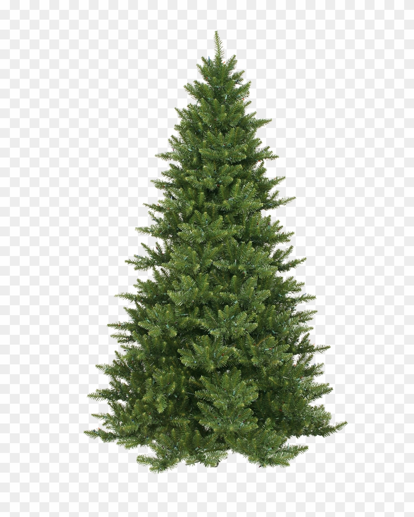 Xmas Pine Tree Png 10 By Iamszissz - Fraser Fir Artificial Christmas Tree #1003030