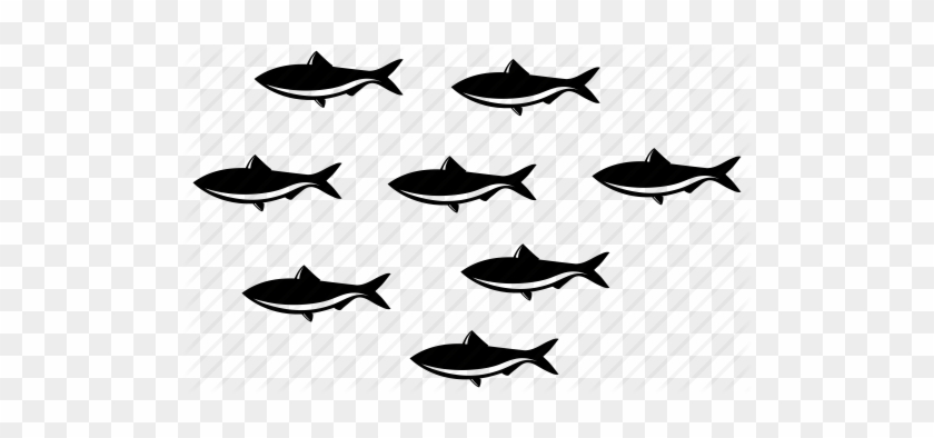 Fishes, Many Fish, School Of Fish, Sea, Sealife, Team, - School Of Fish Icon #1003046