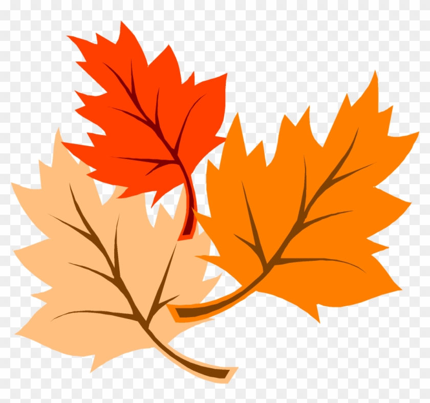 Maple Leaf Clipart Transparent - Thanksgiving Picture Images Clipart #1003143