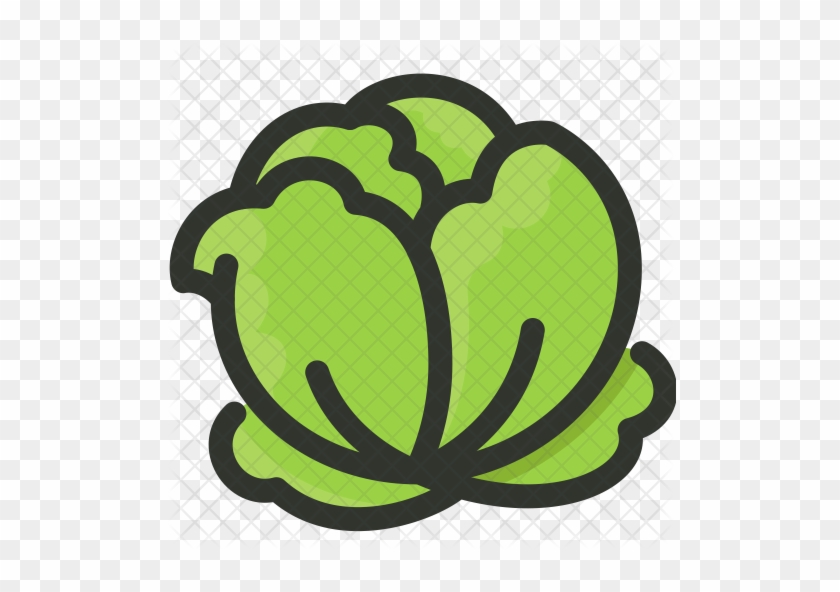 Cabbage Icon - Food #1003164