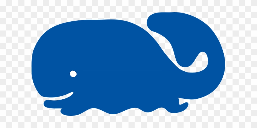 Whale, Animals, Mammal, Ocean, Nature - Blue Whale Clipart #1003214