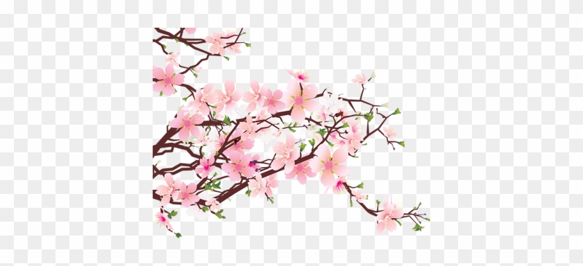 Posted By Art Shares At - Cherry Blossom Clipart Png #1003559