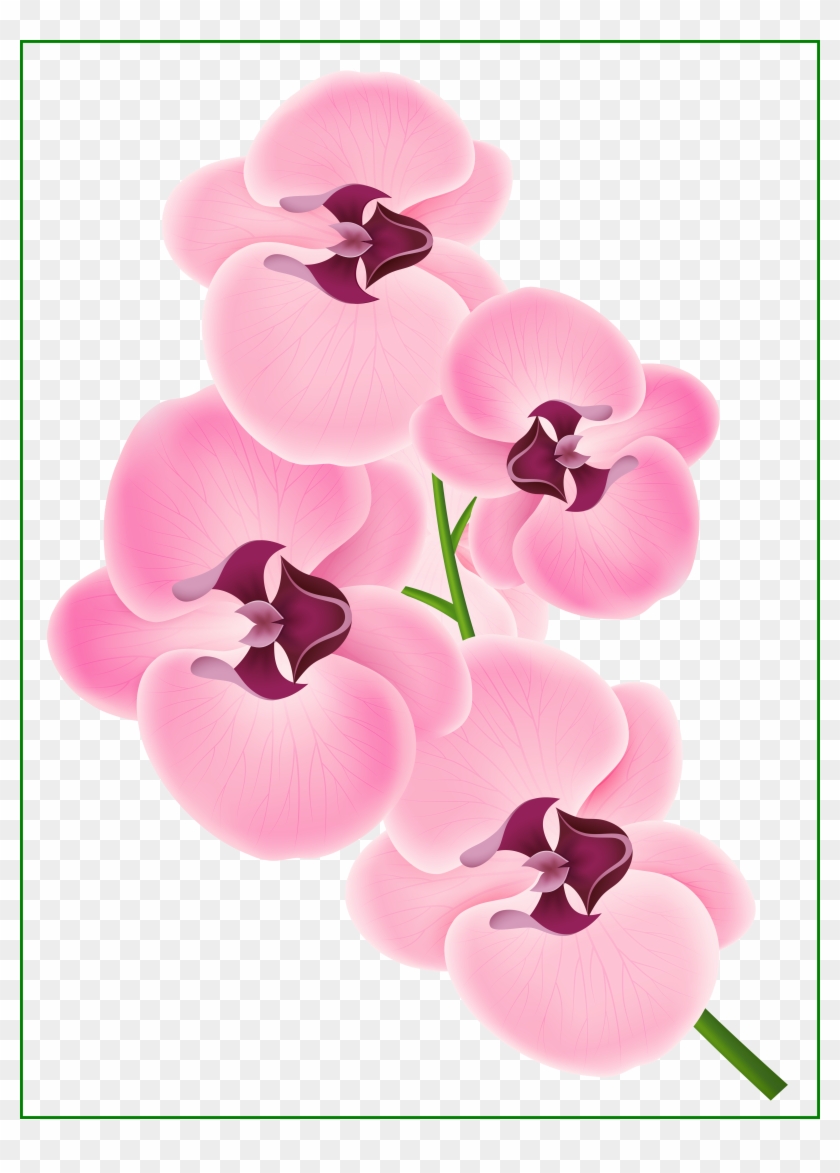 Lotus Png Bunga Lotus Png Incredible Pink Orchid Png - Orchid Clipart #1003573