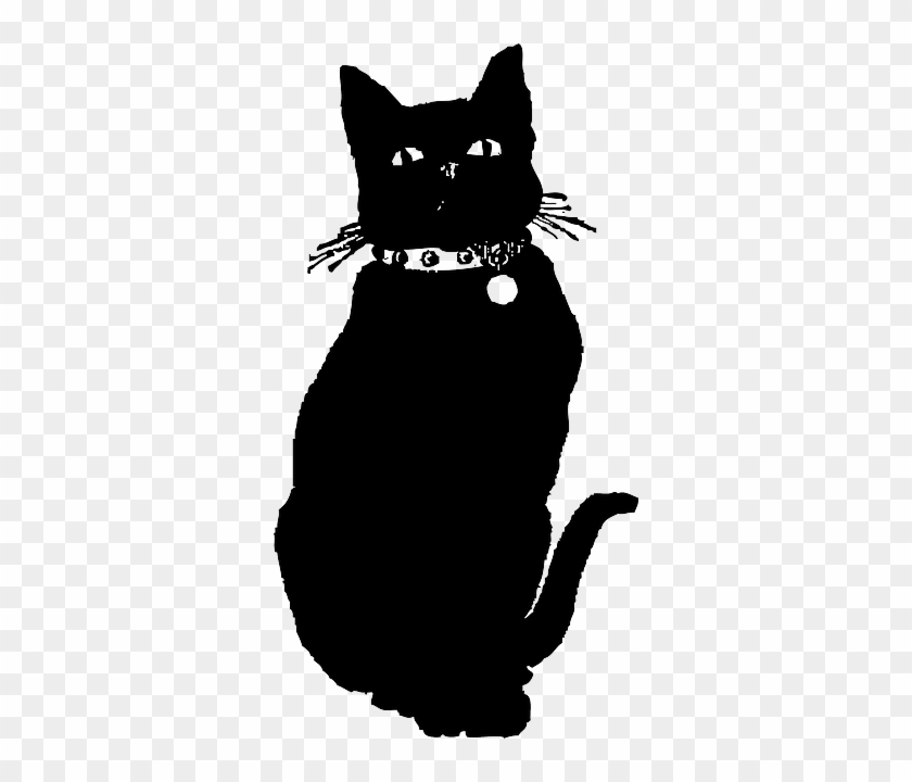 Cat, Silhouette, Cartoon, Dog, Mammals, Cute - Black Cat Illustration Png #1003663