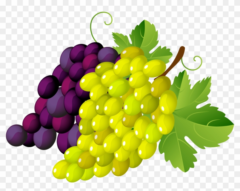 Grape Leaf Clip Art Design Medium Size - Grapes Clipart Transparent Background #1003689